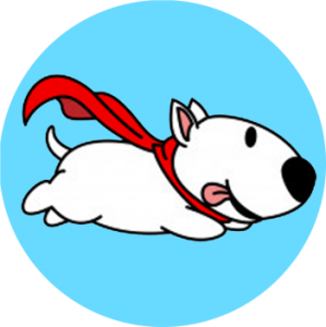 a super hero dog